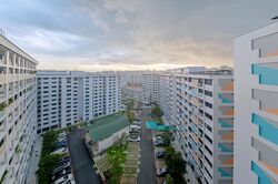 Blk 239 Bukit Panjang Ring Road (Bukit Panjang), HDB Executive #509995651